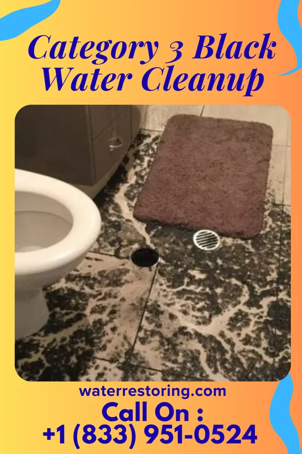 Category 3 Black Water Cleanup in Clarion, PA