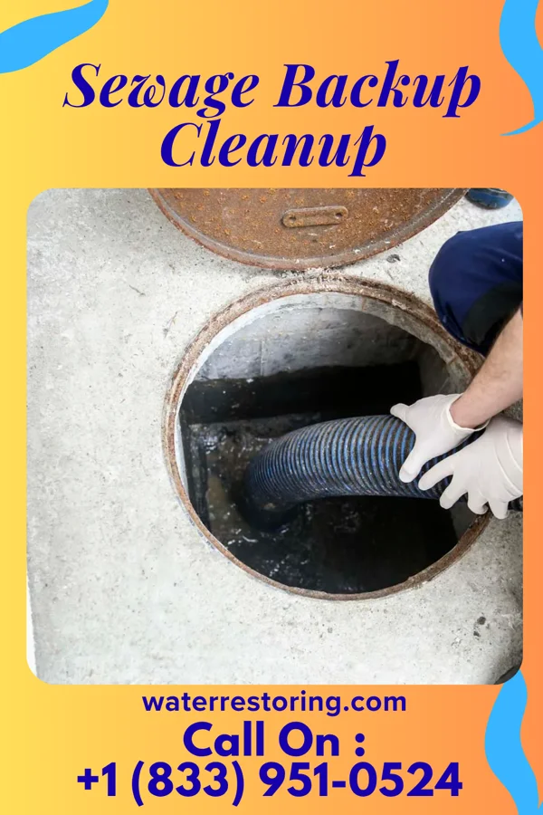Sewage Backup Cleanup in Clarion, PA