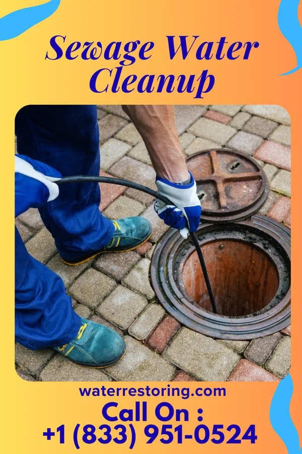 Sewage Water Cleanup in Clarion, PA
