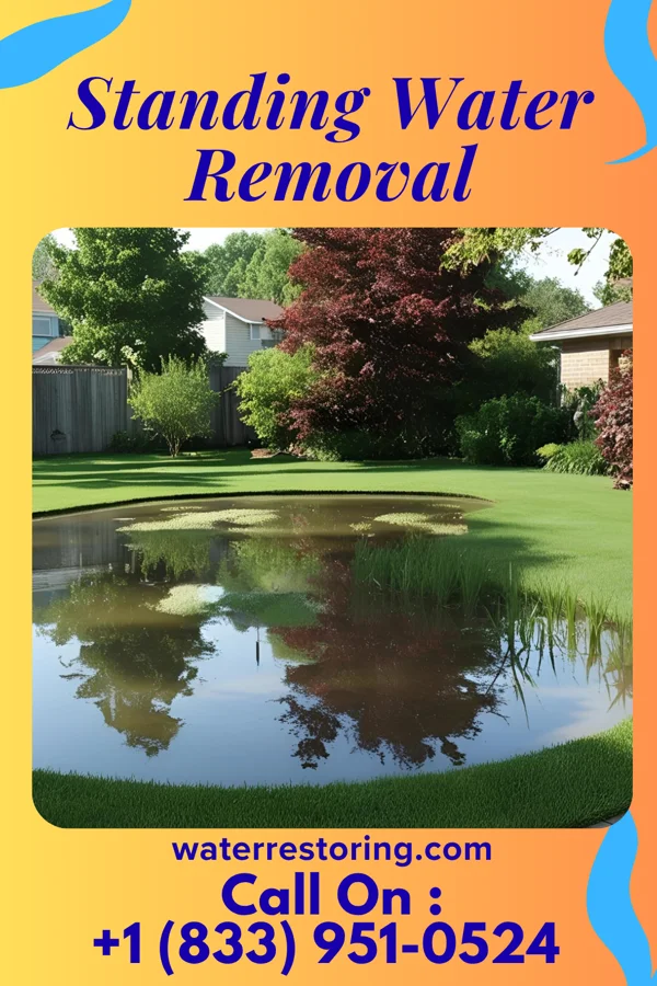 Standing Water Removal in Clarion, PA
